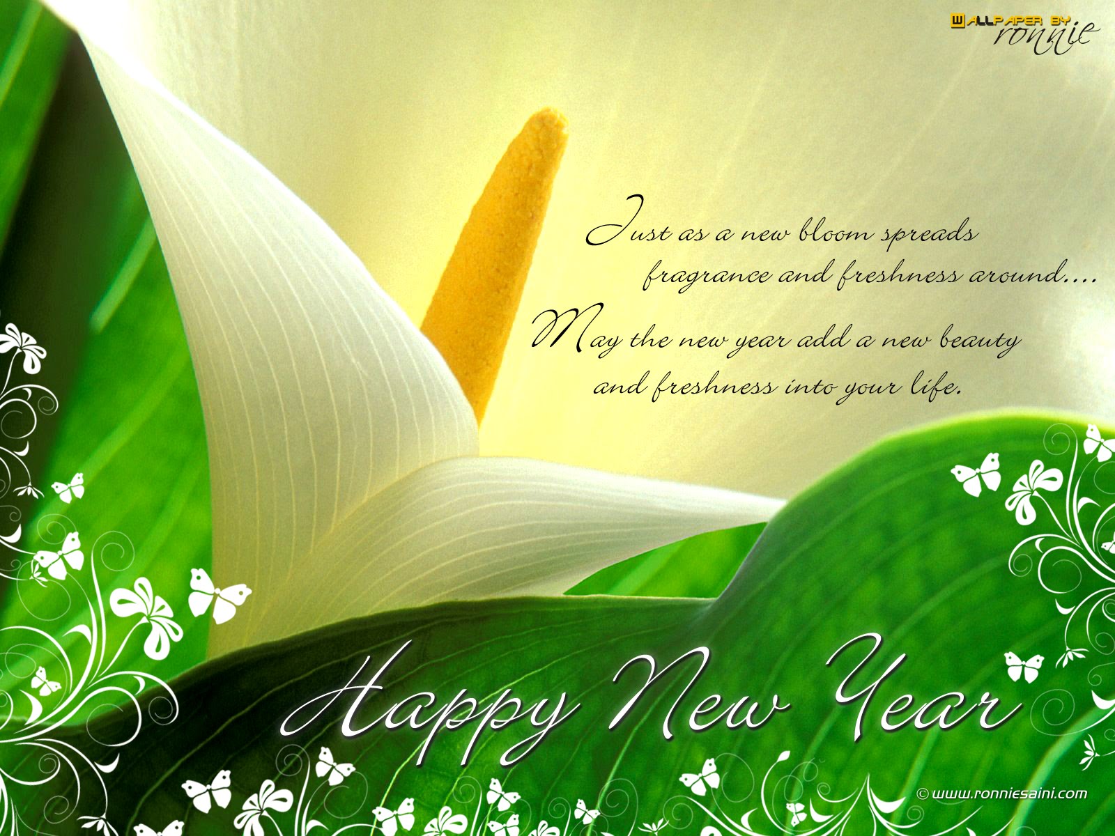 Happy New Year Greeting Cards, E-Cards, Cards