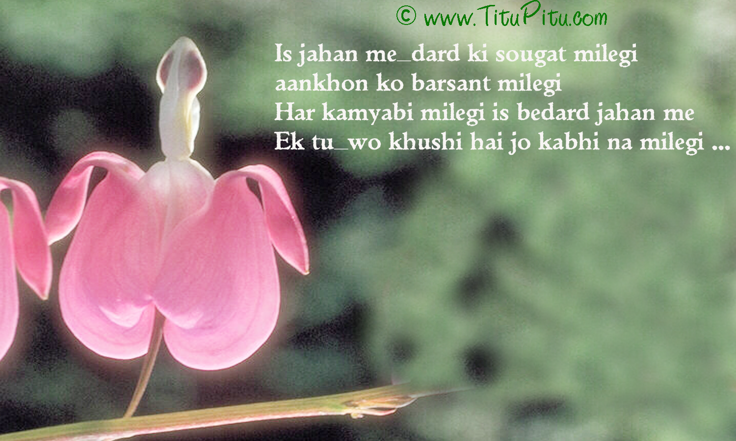 Happy New Year Messages, Wishes, SMS